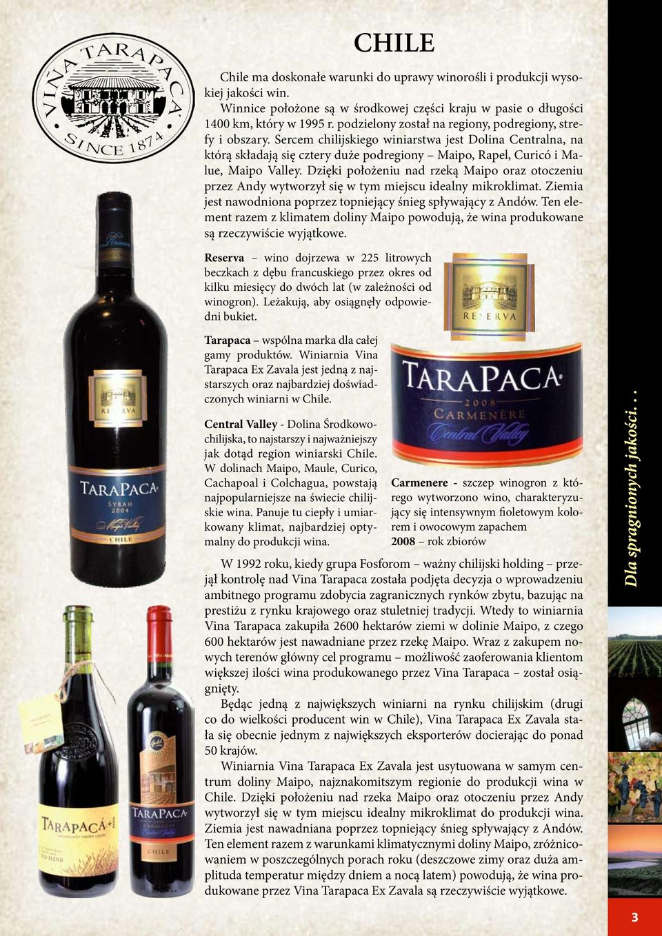 Sercem chilijskiego winiarstwa jest Dolina Centralna, na którą składają się cztery duże podregiony Maipo, Rapel, Curicó i Malue, Maipo Valley.