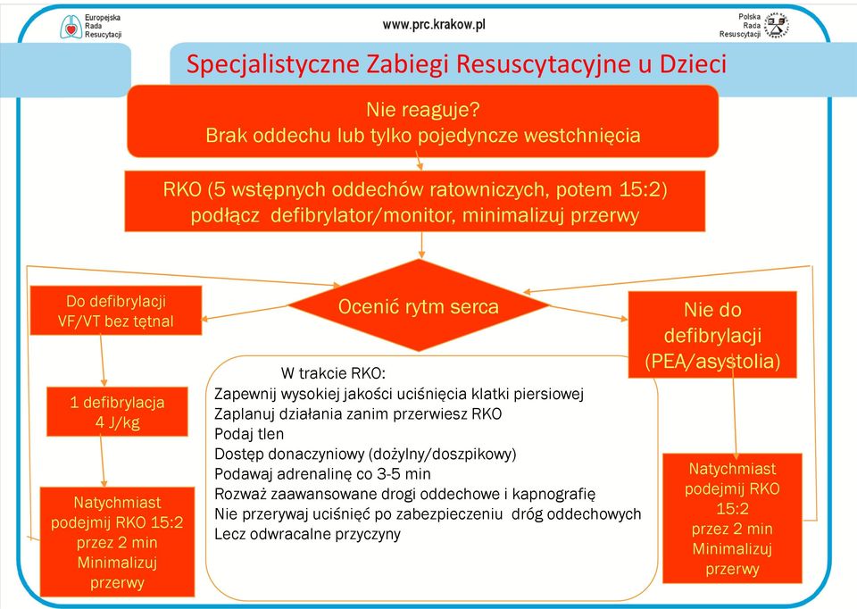 defibrylacja 4 J/kg Natychmiast podejmij RKO 15:2 przez 2 min Minimalizuj przerwy Ocenić rytm serca W trakcie RKO: Zapewnij wysokiej jakości uciśnięcia klatki piersiowej Zaplanuj działania