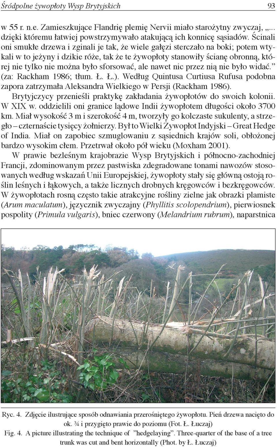 sforsować, ale nawet nic przez nią nie było widać. (za: Rackham 1986; tłum. Ł. Ł.). Według Quintusa Curtiusa Rufusa podobna zapora zatrzymała Aleksandra Wielkiego w Persji (Rackham 1986).