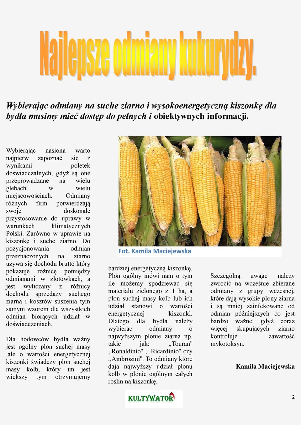 Odmiany różnych firm potwierdzają swoje doskonałe przystosowanie do uprawy w warunkach klimatycznych Polski. Zarówno w uprawie na kiszonkę i suche ziarno.
