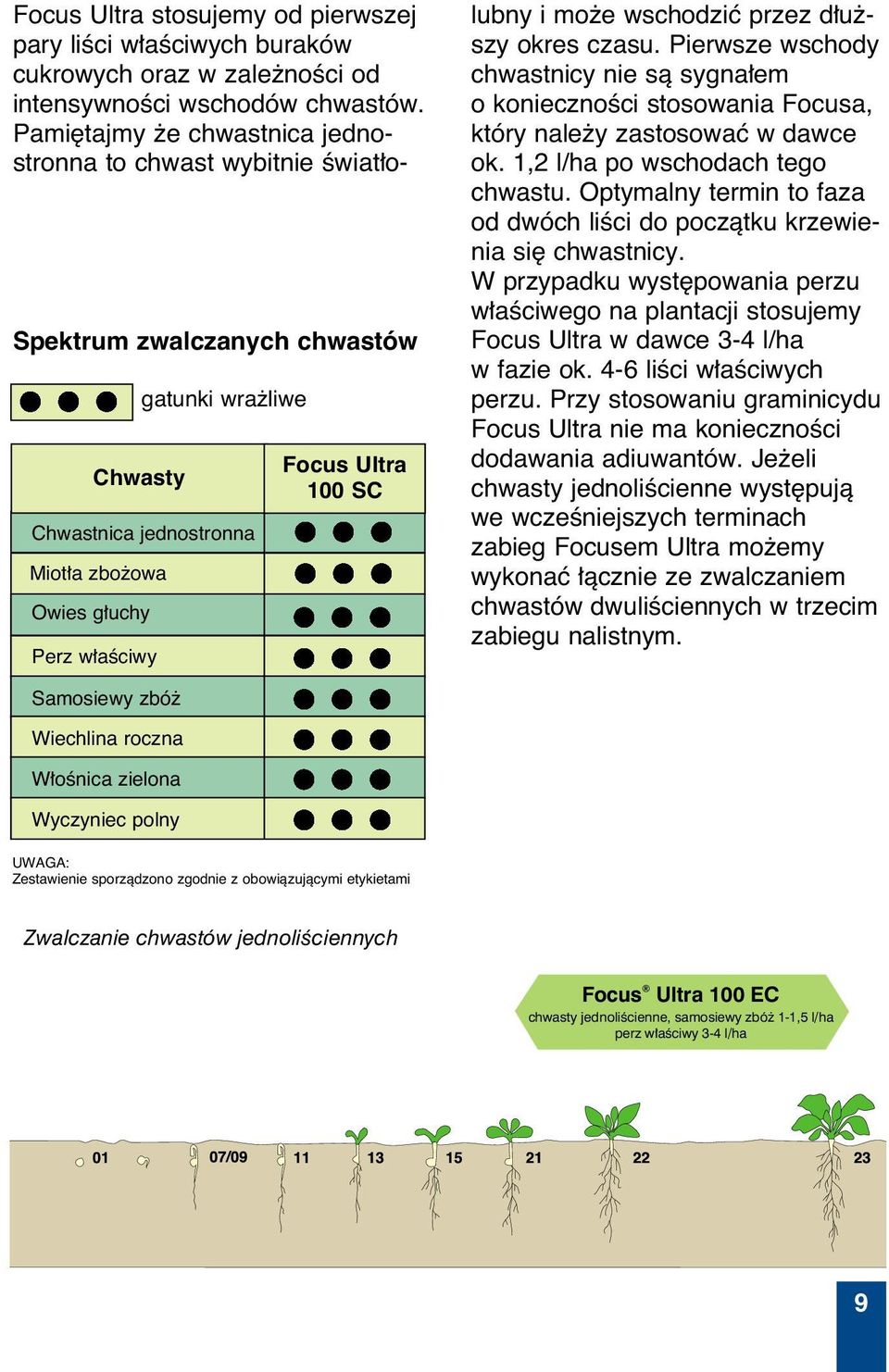 Pierwsze wschody chwastnicy nie sà sygna em o koniecznoêci stosowania Focusa, który nale y zastosowaç w dawce ok. 1,2 l/ha po wschodach tego chwastu.