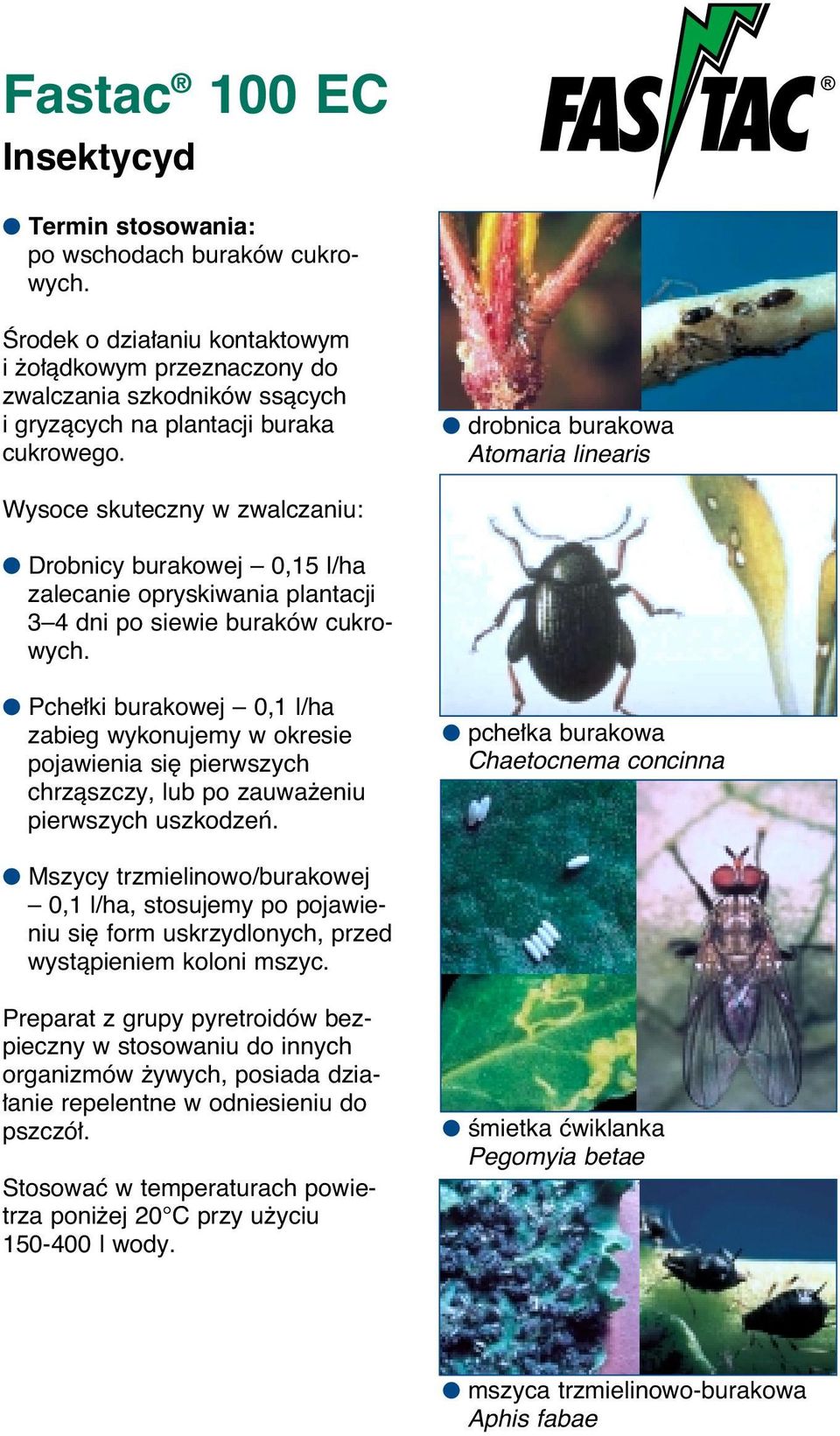 drobnica burakowa Atomaria linearis Wysoce skuteczny w zwalczaniu: Drobnicy burakowej 0,15 l/ha zalecanie opryskiwania plantacji 3 4 dni po siewie buraków cukrowych.