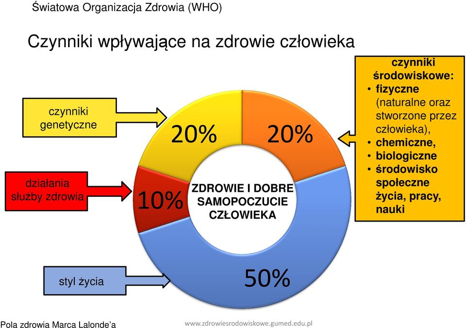 czynniki środowiskowe: fizyczne (naturalne oraz stworzone przez człowieka), chemiczne,