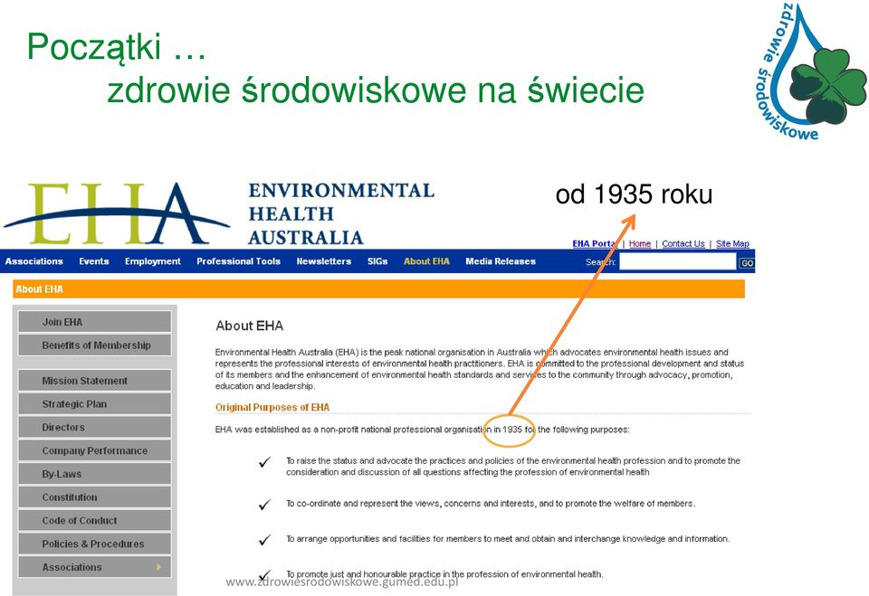 środowiskowe