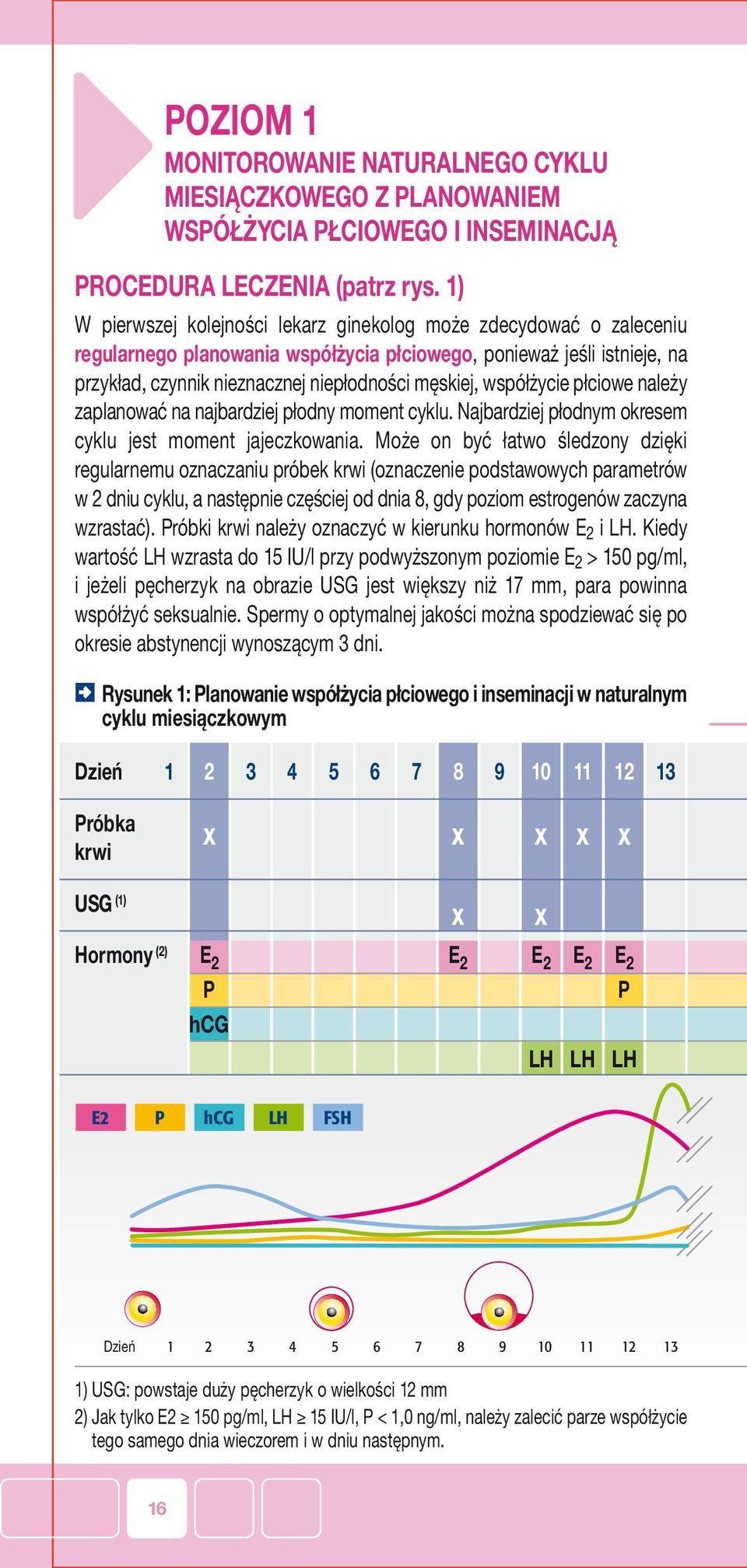 współżycie płciowe należy zaplanować na najbardziej płodny moment cyklu. Najbardziej płodnym okresem cyklu jest moment jajeczkowania.