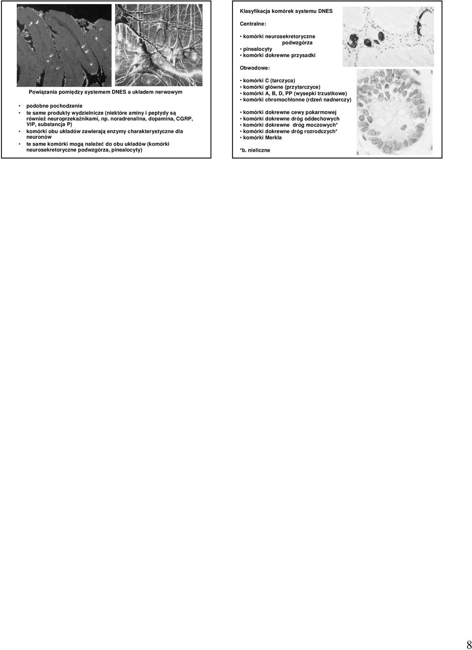 noradrenalina, dopamina, CGRP, VIP, substancja P) komórki obu układów zawierają enzymy charakterystyczne dla neuronów te same komórki mogą należeć do obu układów (komórki neurosekretoryczne