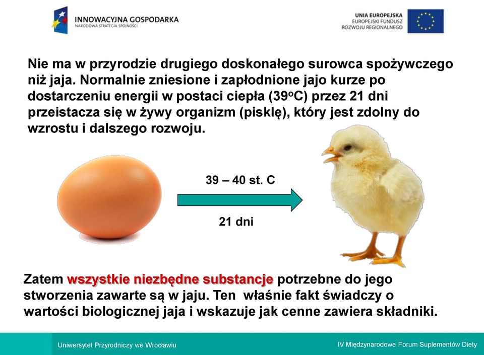 przeistacza się w żywy organizm (pisklę), który jest zdolny do wzrostu i dalszego rozwoju. 39 40 st.