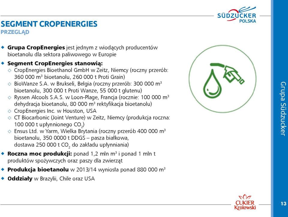 w Brukseli, Belgia (roczny przerób: 300 000 m 3 bioetanolu, 300 000 t Proti Wanze, 55 000 t glutenu) Ryssen Alcools S.