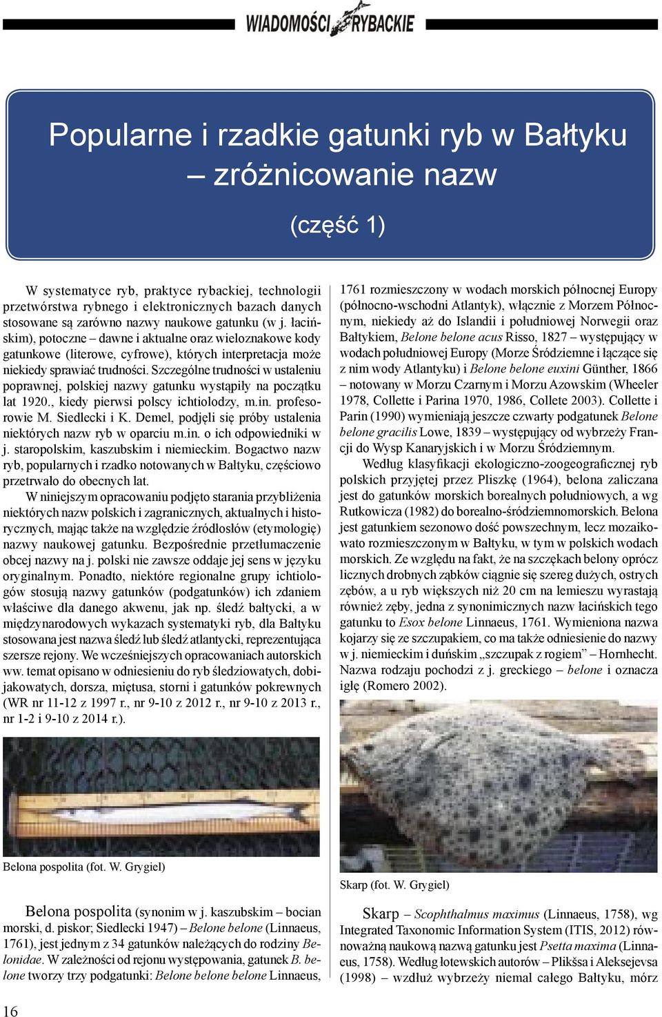 Szczególne trudności w ustaleniu poprawnej, polskiej nazwy gatunku wystąpiły na początku lat 1920., kiedy pierwsi polscy ichtiolodzy, m.in. profesorowie M. Siedlecki i K.