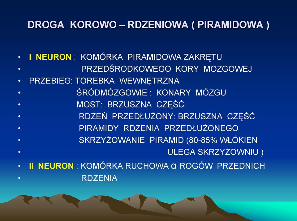 MOST: BRZUSZNA CZĘŚĆ RDZEŃ PRZEDŁUŻONY: BRZUSZNA CZĘŚĆ PIRAMIDY RDZENIA PRZEDŁUŻONEGO