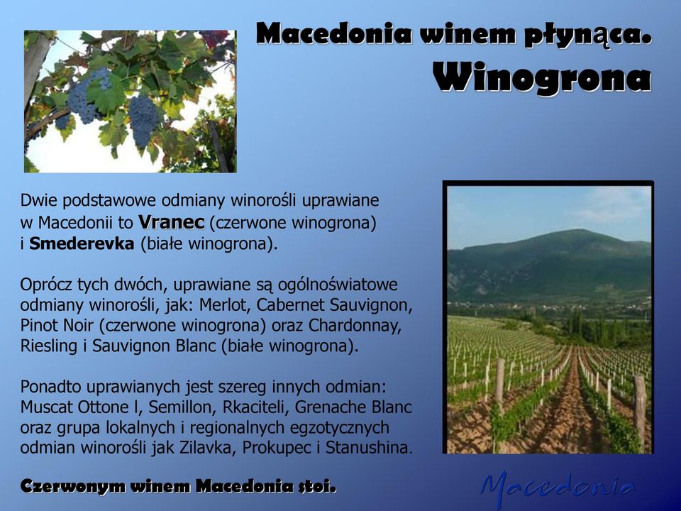 Oprócz tych dwóch, uprawiane są ogólnoświatowe odmiany winorośli, jak: Merlot, Cabernet Sauvignon, Pinot Noir (czerwone winogrona) oraz