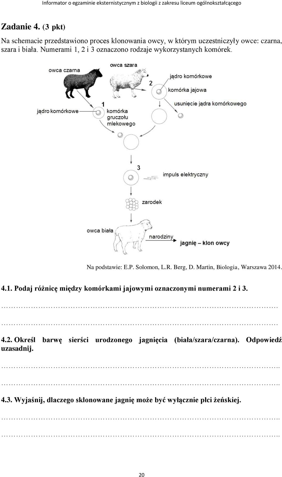 Martin, Biologia, Warszawa 2014. 4.1. Podaj różnicę między komórkami jajowymi oznaczonymi numerami 2 i 3... 4.2. Określ barwę sierści urodzonego jagnięcia (biała/szara/czarna).