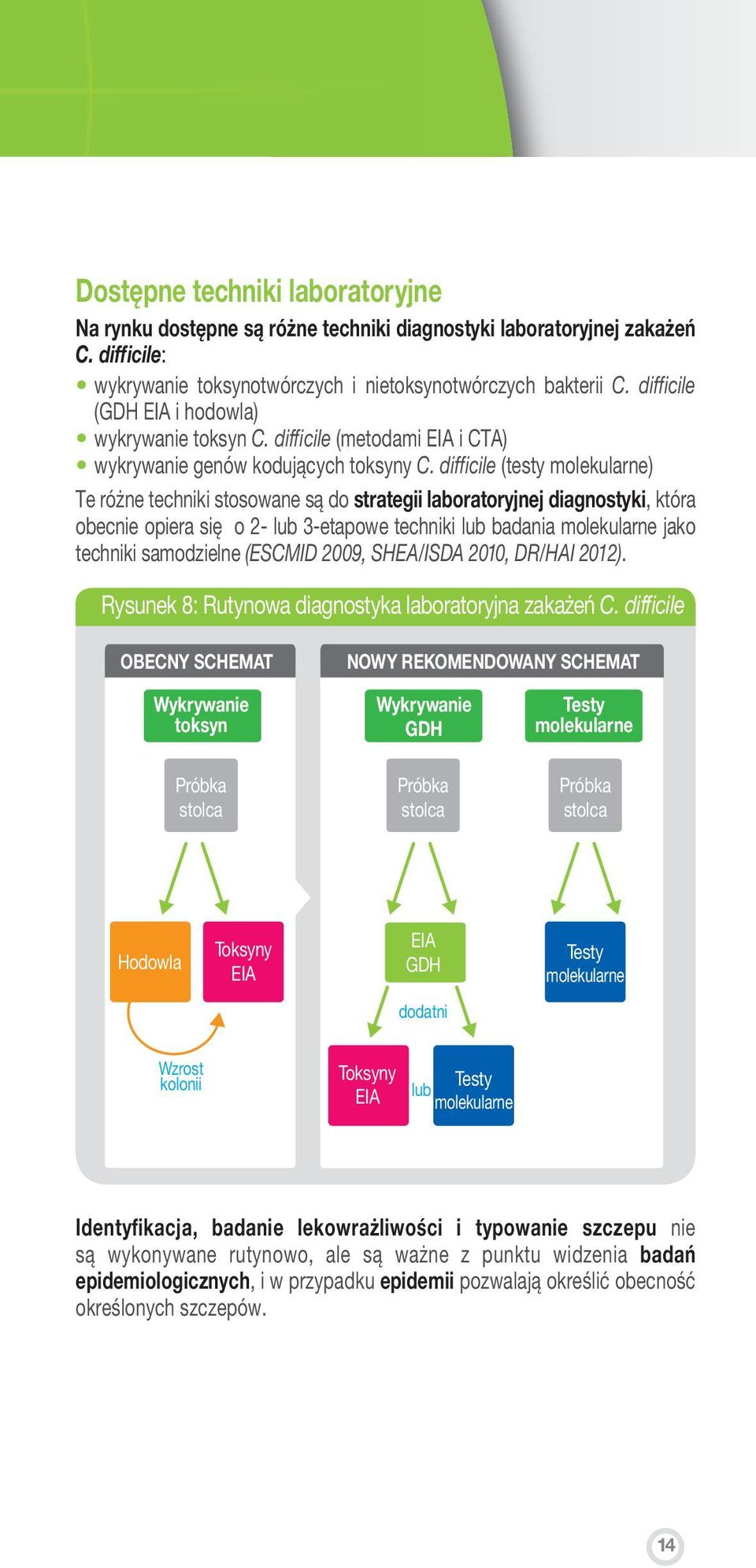 difficile (testy molekularne) Te różne techniki stosowane są do strategii laboratoryjnej diagnostyki, która obecnie opiera się o 2- lub 3-etapowe techniki lub badania molekularne jako techniki