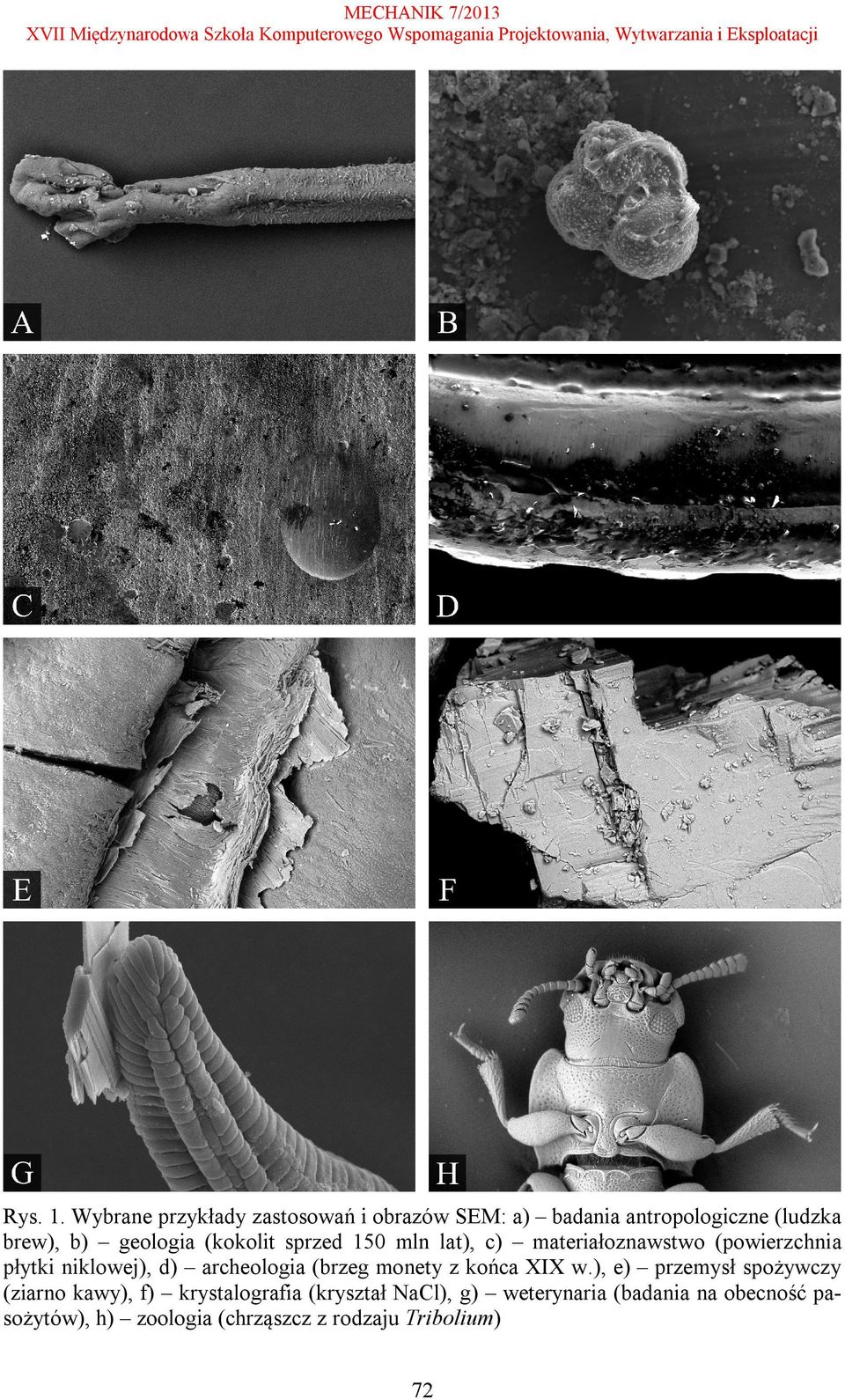 (kokolit sprzed 150 mln lat), c) materiałoznawstwo (powierzchnia płytki niklowej), d) archeologia (brzeg