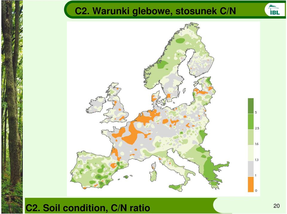 stosunek C/N C2.