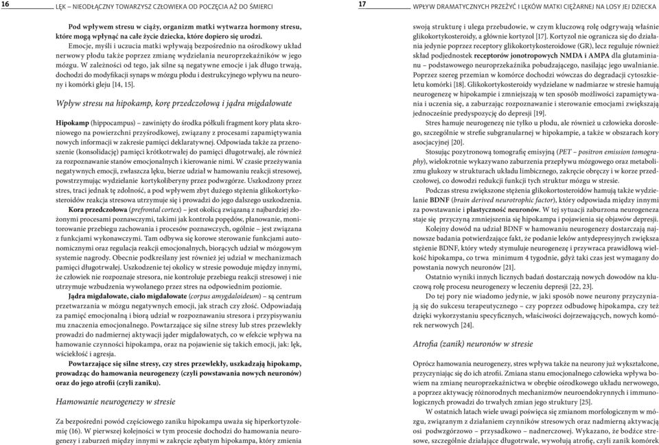 W zależności od tego, jak silne są negatywne emocje i jak długo trwają, dochodzi do modyfikacji synaps w mózgu płodu i destrukcyjnego wpływu na neurony i komórki gleju [14, 15].