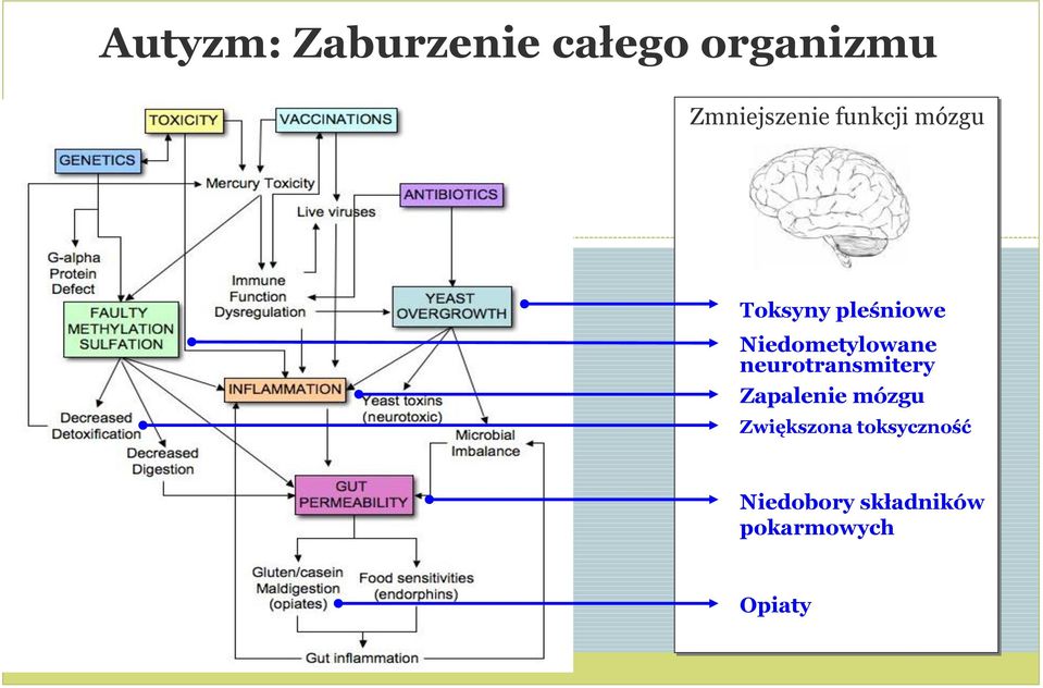 Niedometylowane neurotransmitery Zapalenie