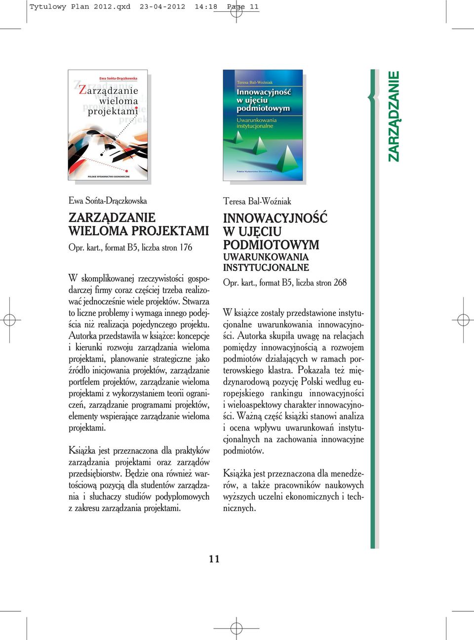 Stwarza to liczne problemy i wymaga innego podejścia niż realizacja pojedynczego projektu.