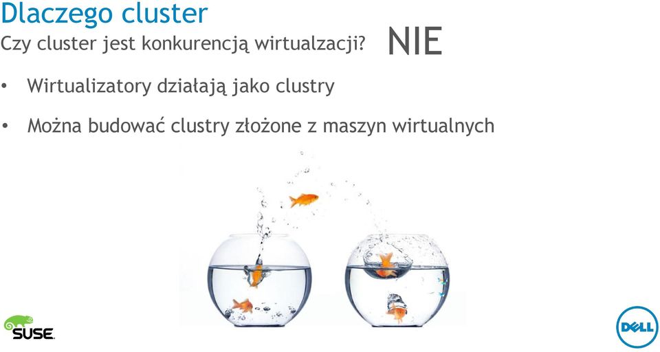 Wirtualizatory działają jako clustry