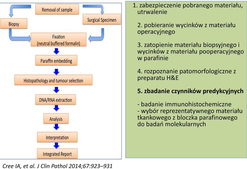 rozpoznanie patomorfologiczne z preparatu H&E 5.