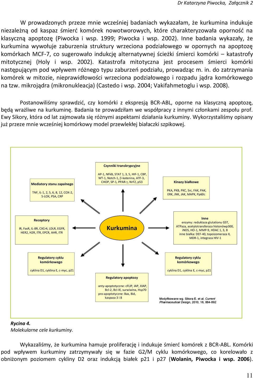 Inne badania wykazały, że kurkumina wywołuje zaburzenia struktury wrzeciona podziałowego w opornych na apoptozę komórkach MCF-7, co sugerowało indukcję alternatywnej ścieżki śmierci komórki