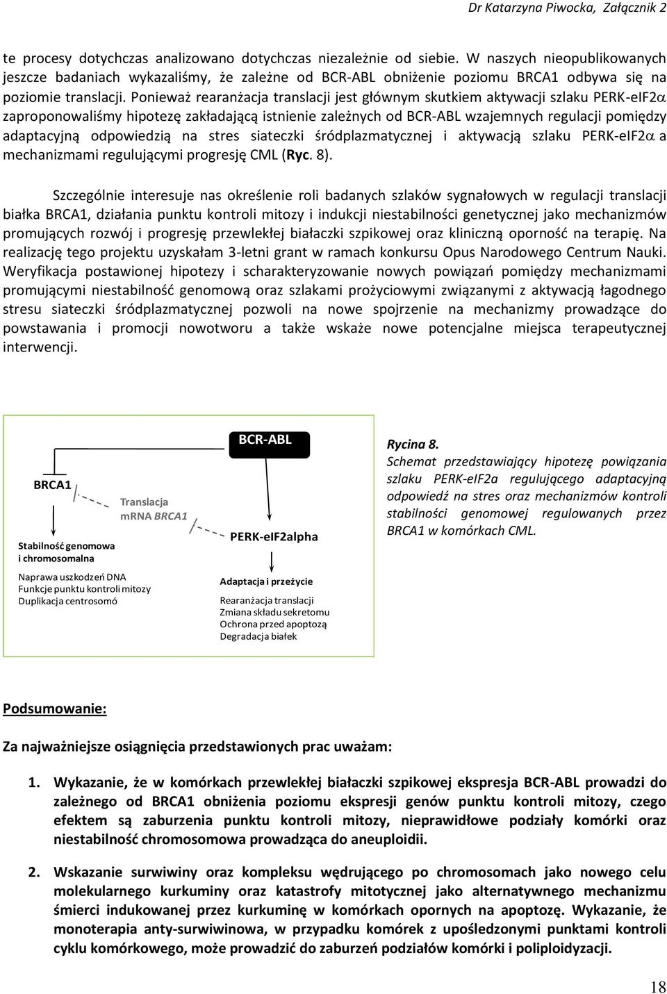 Ponieważ rearanżacja translacji jest głównym skutkiem aktywacji szlaku PERK-eIF2 zaproponowaliśmy hipotezę zakładającą istnienie zależnych od BCR-ABL wzajemnych regulacji pomiędzy adaptacyjną