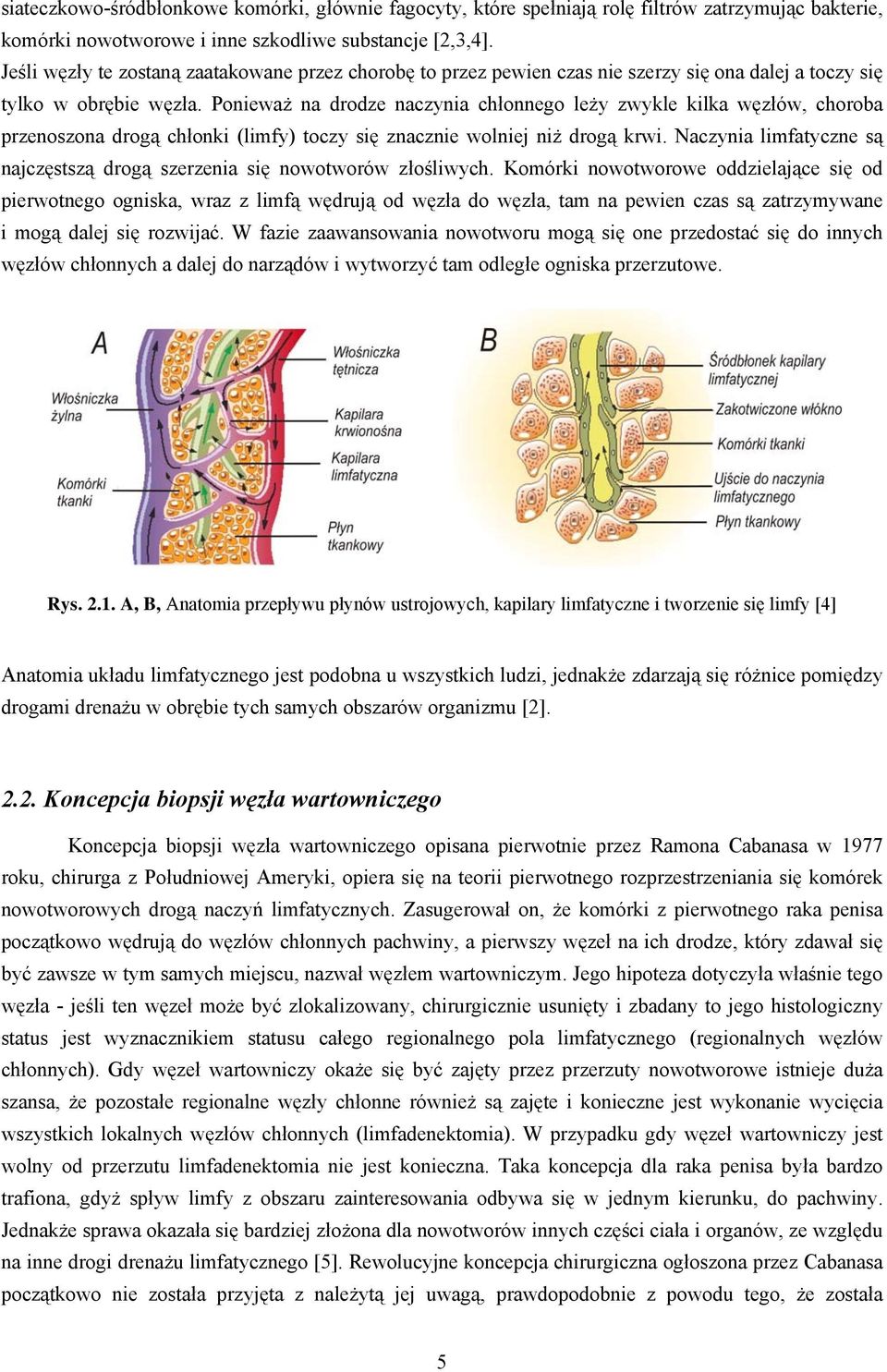 Ponieważ na drodze naczynia chłonnego leży zwykle kilka węzłów, choroba przenoszona drogą chłonki (limfy) toczy się znacznie wolniej niż drogą krwi.