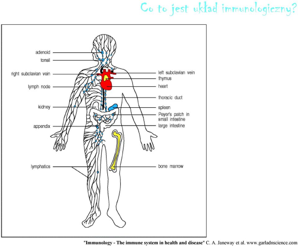 in health and disease" C. A.