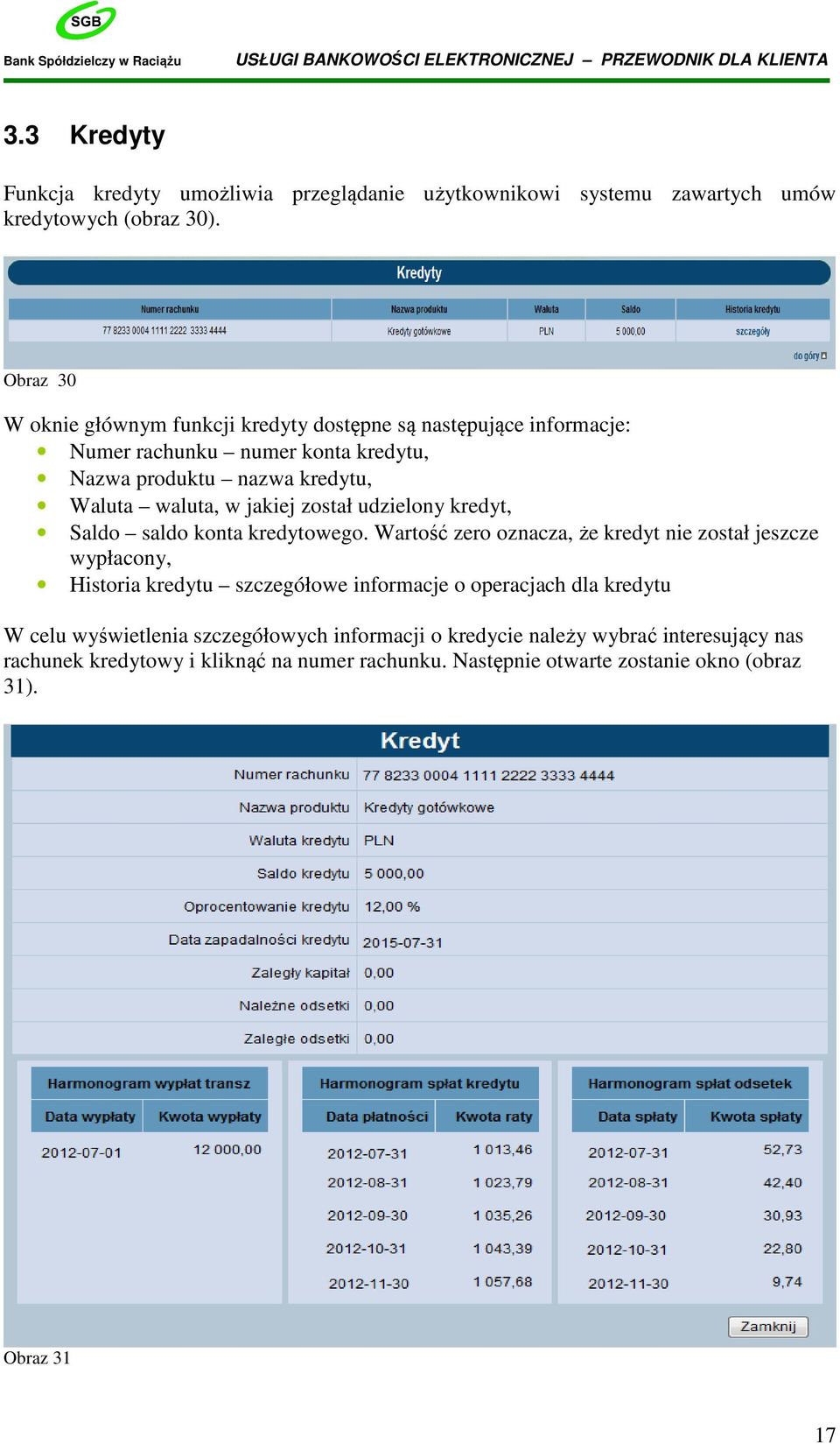 jakiej został udzielony kredyt, Saldo saldo konta kredytowego.