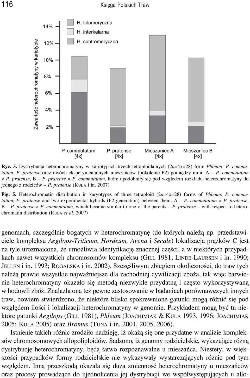 commutatum, które upodobniły się pod względem rozkładu heterochromatyny do jednego z rodziców P. pratense (KULA i in. 2007) Fig. 5.