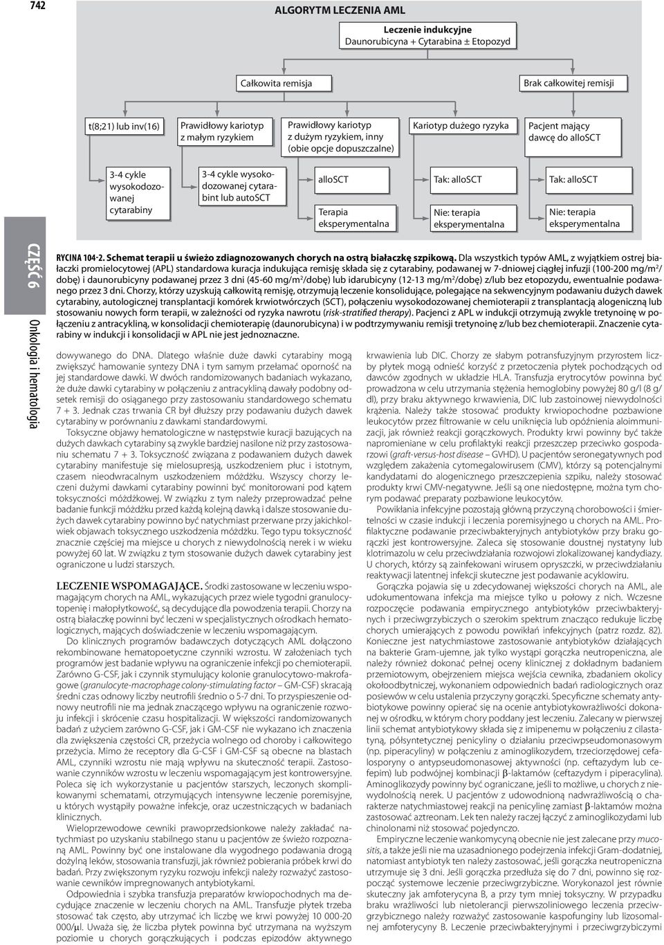 allosct Terapia Tak: allosct Nie: terapia Tak: allosct Nie: terapia RYCINA 104-2. Schemat terapii u świeżo zdiagnozowanych chorych na ostrą białaczkę szpikową.