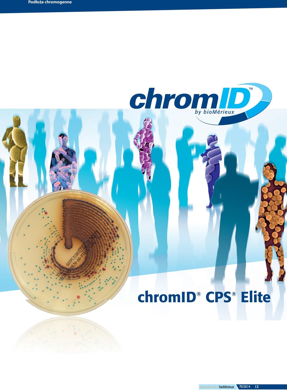 difficile chromid Strepto B chromid mrsa Już wkrótce