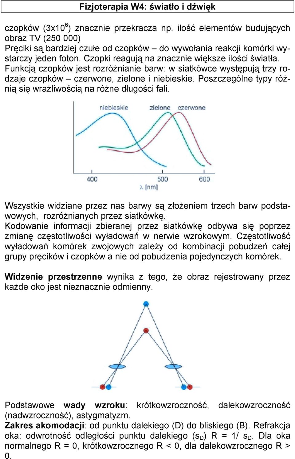 Poszczególne typy różnią się wrażliwością na różne długości fali. Wszystkie widziane przez nas barwy są złożeniem trzech barw podstawowych, rozróżnianych przez siatkówkę.