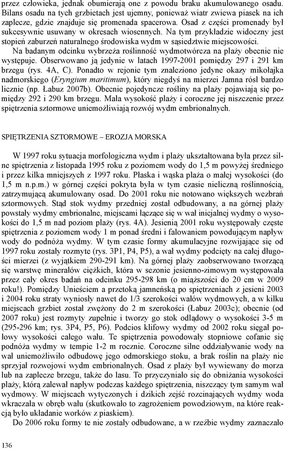 Osad z części promenady był sukcesywnie usuwany w okresach wiosennych. Na tym przykładzie widoczny jest stopień zaburzeń naturalnego środowiska wydm w sąsiedztwie miejscowości.