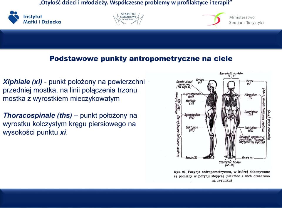 trzonu mostka z wyrostkiem mieczykowatym Thoracospinale (ths) punkt