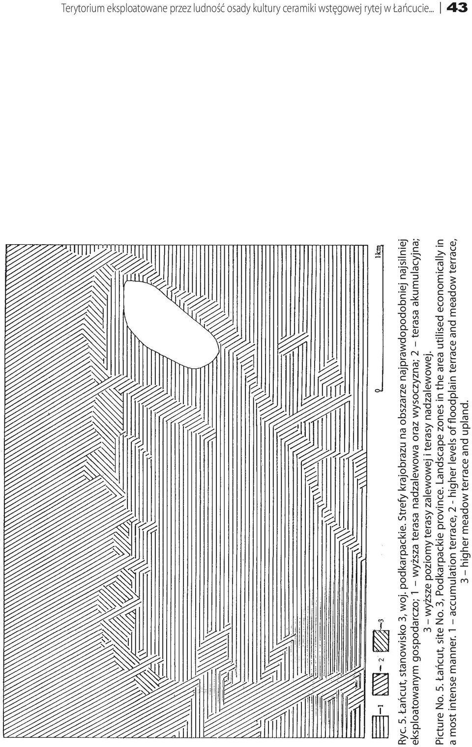 akumulacyjna; 3 wyższe poziomy terasy zalewowej i terasy nadzalewowej. Picture No. 5. Łańcut, site No. 3, Podkarpackie province.