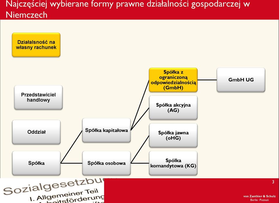 ograniczoną odpowiedzialnością (GmbH) Spółka akcyjna (AG) GmbH UG Oddział