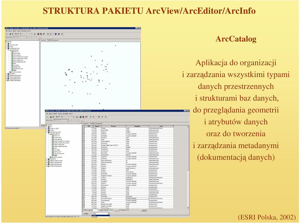 strukturami baz danych, do przeglądania geometrii i atrybutów danych