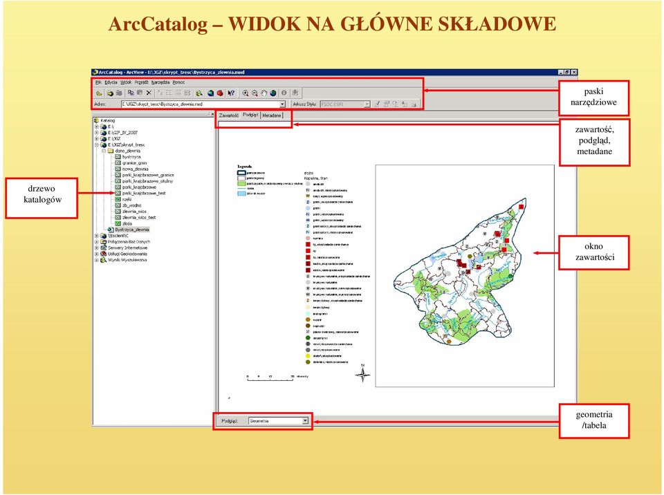 zawartość, podgląd, metadane