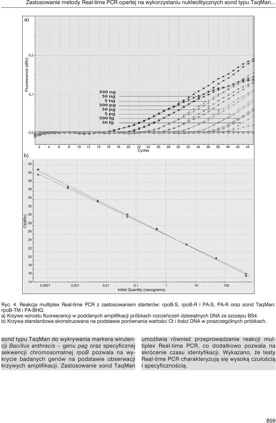 a) Krzywe wzrostu fluorescencji w poddanych amplifikacji próbkach rozcieńczeń dziesiętnych DNA ze szczepu BS4.