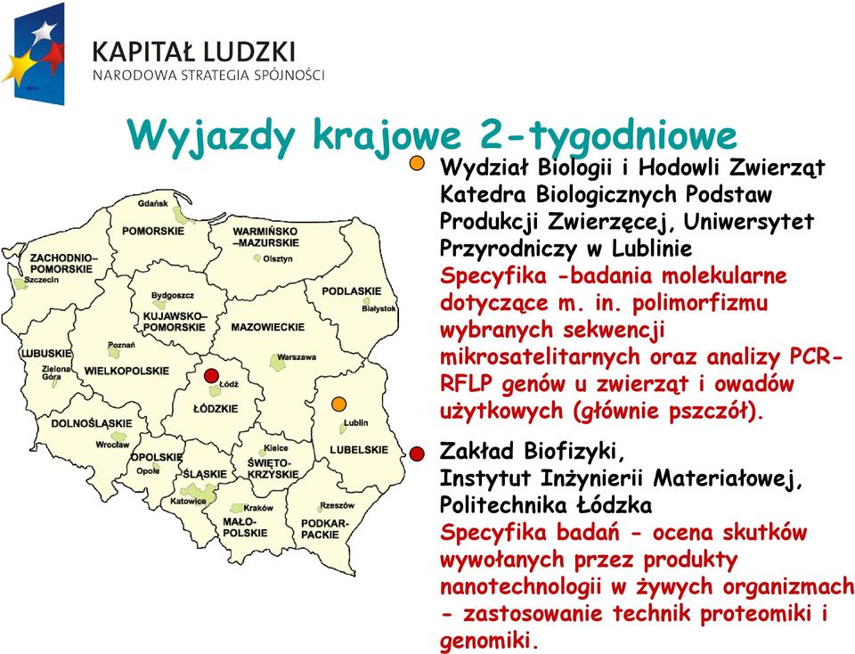 polimorfizmu wybranych sekwencji mikrosatelitarnych oraz analizy PCR- RFLP genów u zwierząt i owadów użytkowych (głównie pszczół).