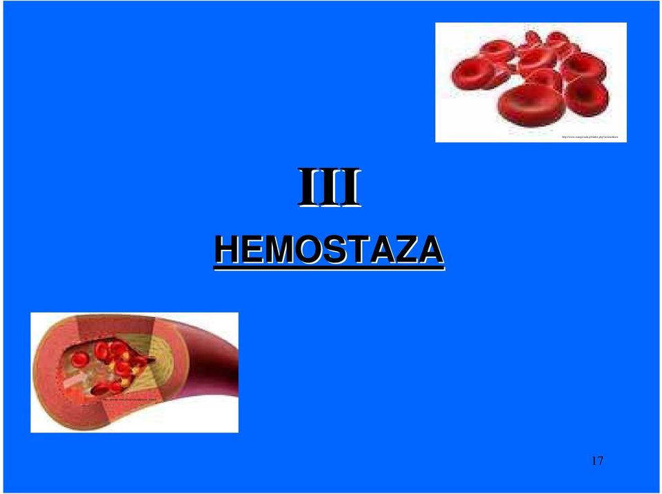 action=krew III HEMOSTAZA