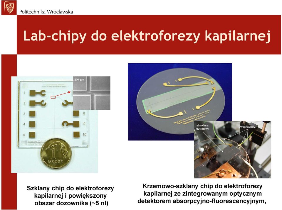 (~5 nl) Krzemowo-szklany chip do elektroforezy kapilarnej