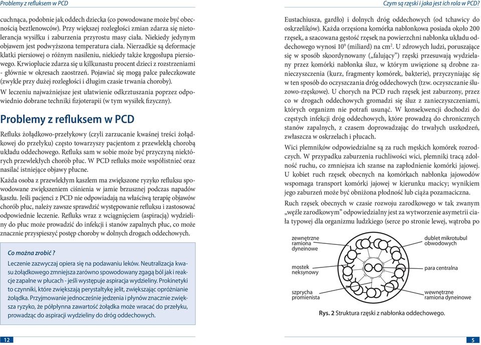 Nierzadkie są deformacje klatki piersiowej o różnym nasileniu, niekiedy także kręgosłupa piersiowego. Krwioplucie zdarza się u kilkunastu procent dzieci z rozstrzeniami - głównie w okresach zaostrzeń.