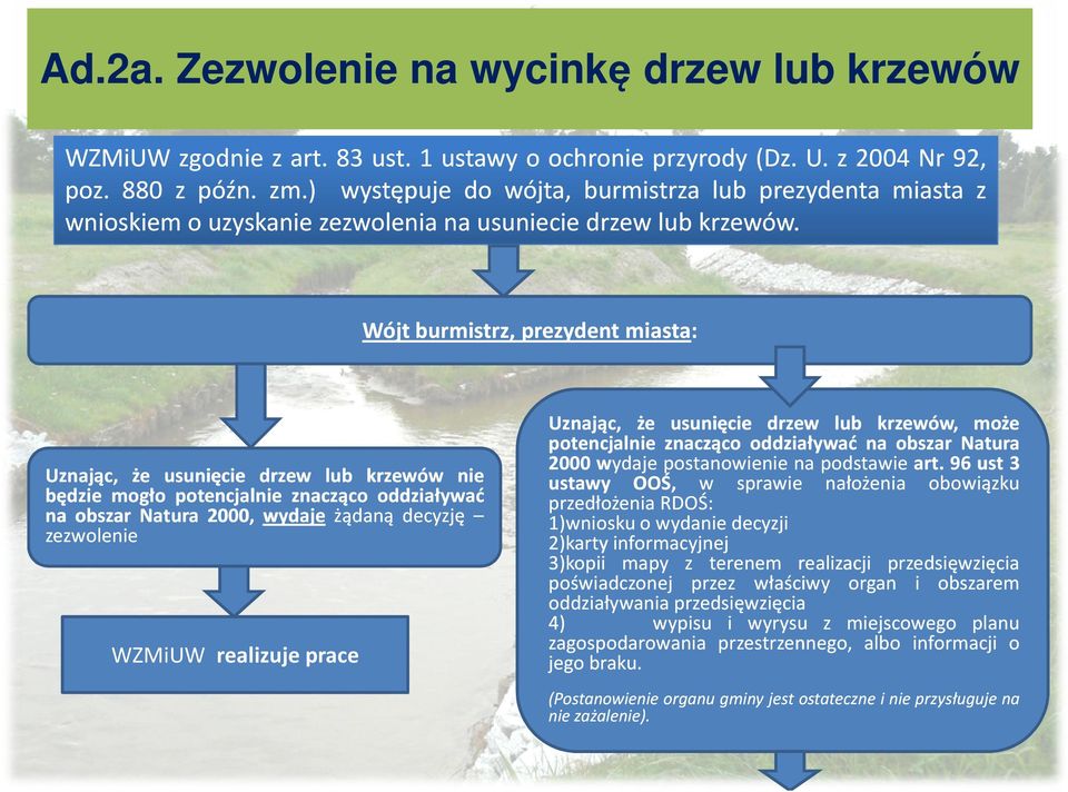 . Wójt burmistrz, prezydent miasta: miasta: Uznając, że usunięcie drzew lub krzewów nie będzie mogło potencjalnie znacząco oddziaływać na obszar Natura 2000, 2000, wydaje żądaną decyzję zezwolenie