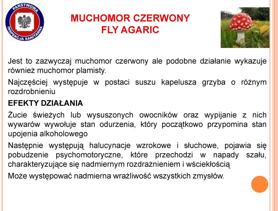 nich wywarów wywołuje stan odurzenia, który początkowo przypomina stan upojenia alkoholowego Następnie występują halucynacje wzrokowe i słuchowe, pojawia