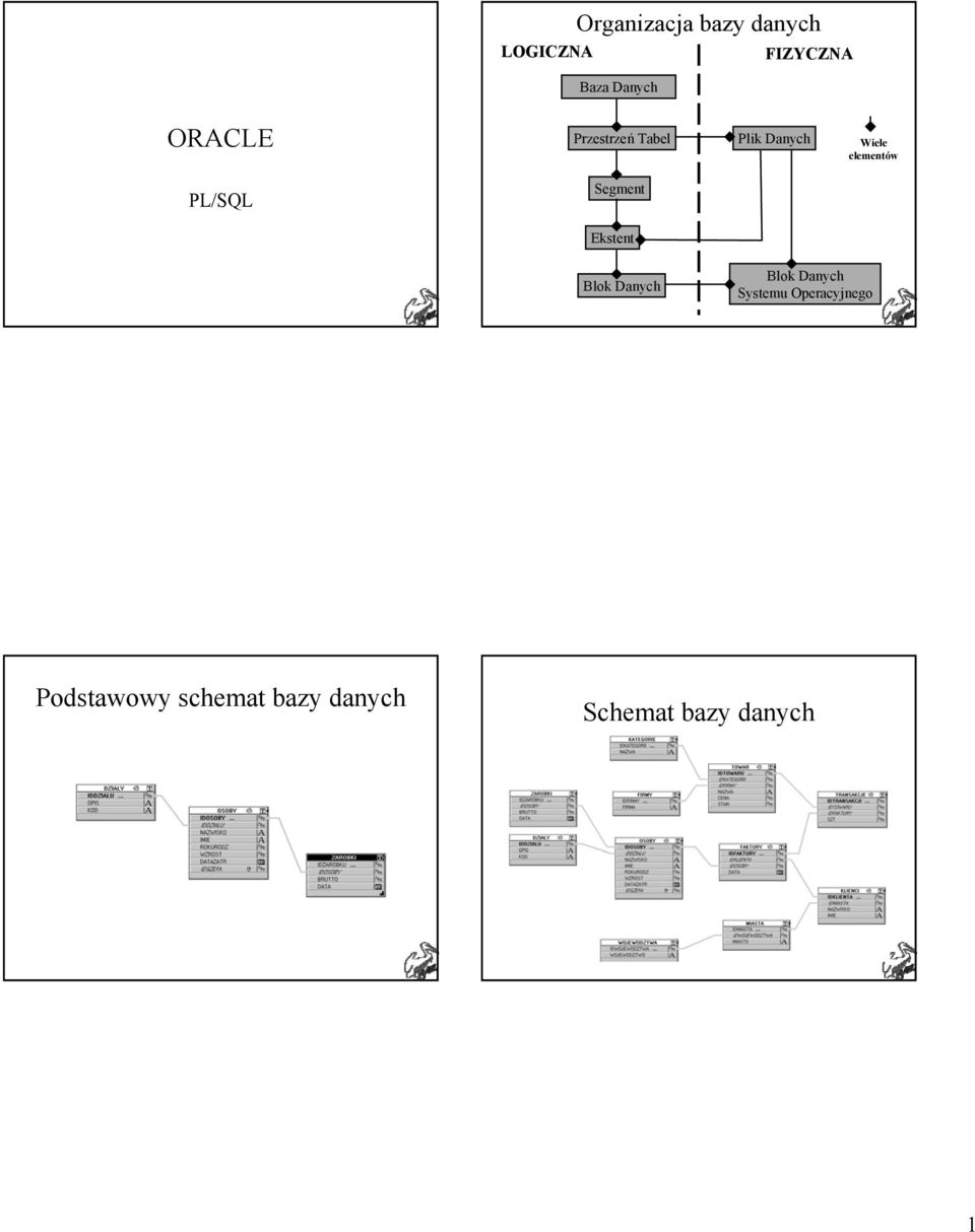 PL/SQL Segment Ekstent Blok Danych Blok Danych Systemu