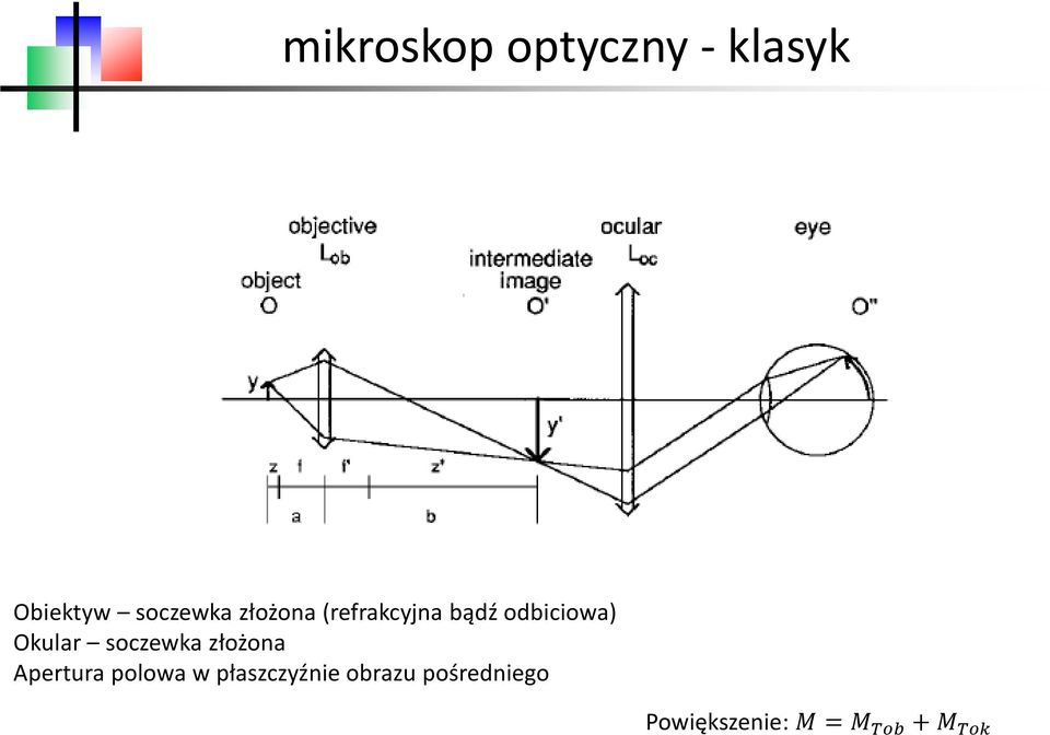 soczewka złożona Apertura polowa w