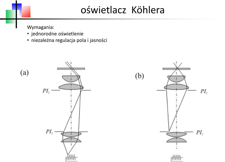 regulacja pola i