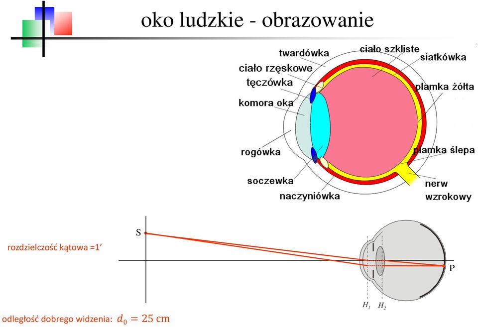 rozdzielczość kątowa =1